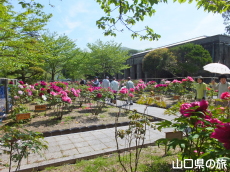 �g�����O��