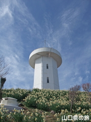 㐷RW]̐