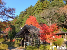 �����ʂ�̍g�t