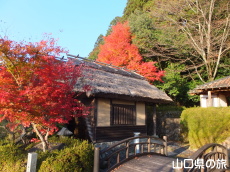 �����ʂ�̍g�t