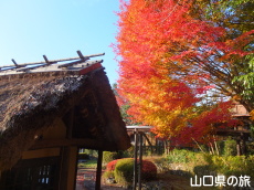 �����ʂ�̍g�t