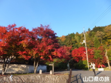 �����ʂ�̍g�t