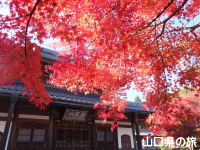 漢陽寺の紅葉