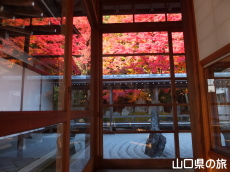 ���z���̍g�t