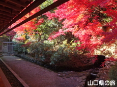 �������ƍg�t