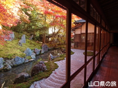 ��R���C�̒�