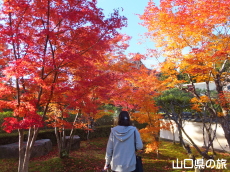 ���z���̍g�t