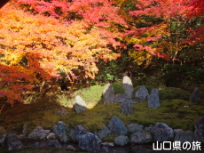 ���z���̍g�t