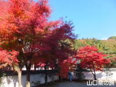 ���z���̍g�t