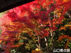 ���z���̍g�t