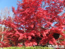 ���z���̍g�t