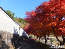 ���z���̍g�t