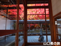 漢陽寺の紅葉