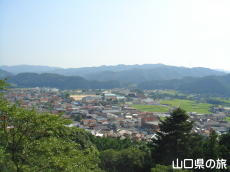 �V�_�R��������̒���