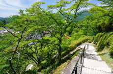 �V�_�R����