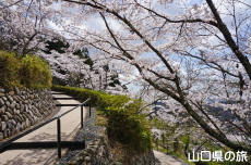 �V�_�R�����̍�