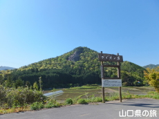 ���C�I����