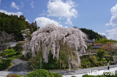 �e������