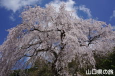 �e������