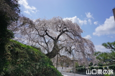 �e������