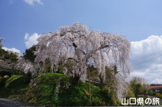 �e������