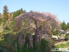 �e������