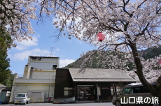 �ΑD����̍�