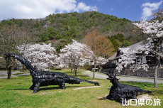 �Ő��L��̍�