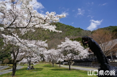 �Ő��L��̍�