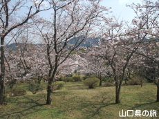 �����̕����