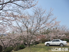 �����̕����