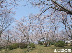 �����̕����