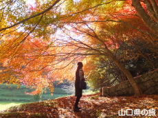 旧内藤家屋敷跡の紅葉