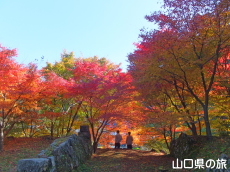 旧内藤家屋敷跡の紅葉
