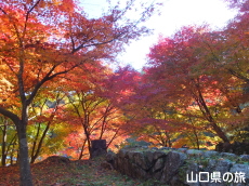 旧内藤家屋敷跡の紅葉