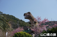 笠戸島の河津桜とティラノサウルス