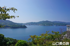 �O�j��������̒���