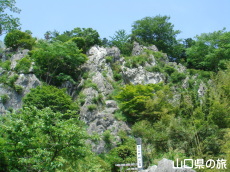 �F�R�|�ь���