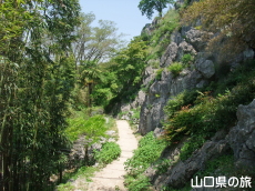 �F�R�|�ь���