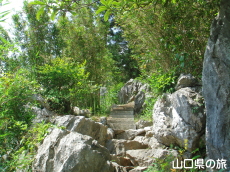 �F�R�|�ь���