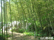 �F�R�|�ь����F�R�|�ь���