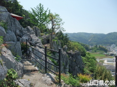 �F�R�|�ь���