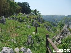 �F�R�|�ь���