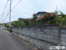 �l��̃o����