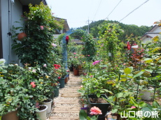 �l��̃o����