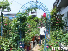 �l��̃o����