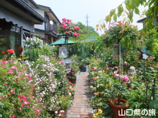 �l��̃o����