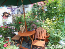 �l��̃o����