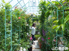 �l��̃o����