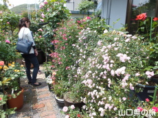 �l��̃o����